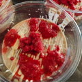 Overnights - Raspberry & White Chocolate